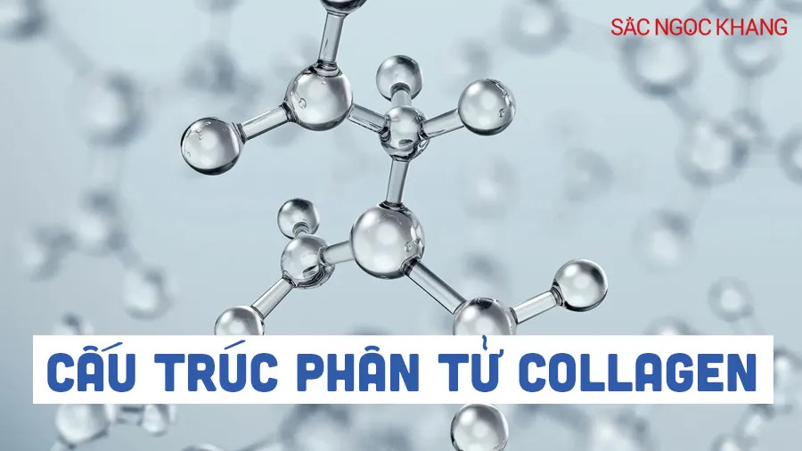 Cấu trúc phân tử collagen