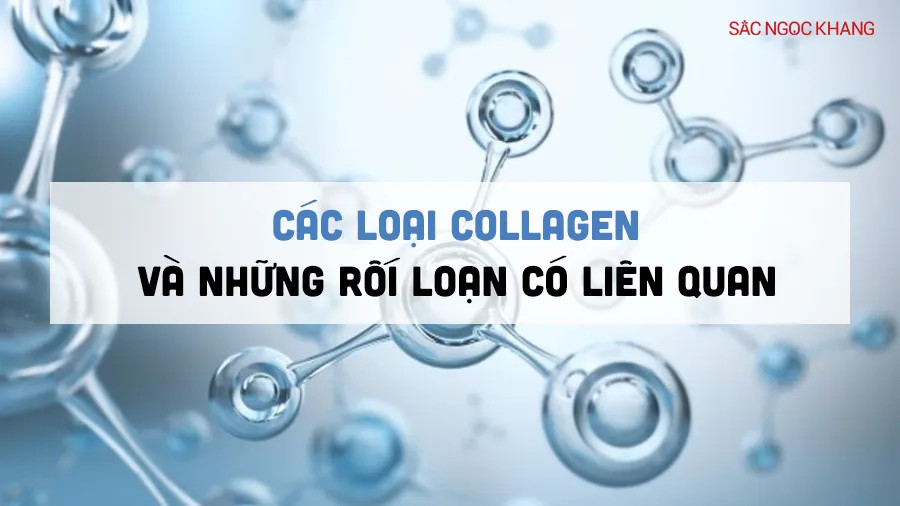 Các loại collagen và những chứng rối loạn có liên quan