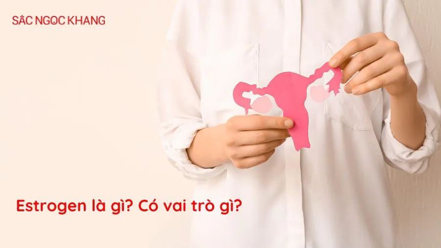 Estrogen là gì? Vai trò của estrogen đối với cơ thể