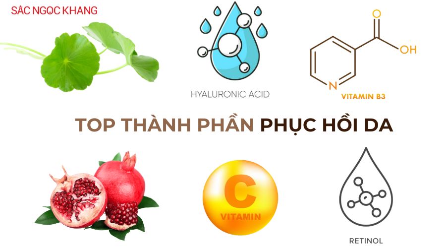 Top 13+ thành phần phục hồi da tốt nhất