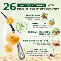 COMBO Dầu Gội + Dầu Xả 26 Thảo Dược